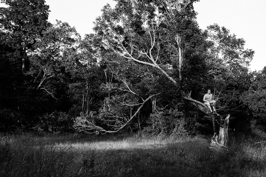 My partner, painter Martin Swift in a lighting-struck tree in Titusville, PA. 